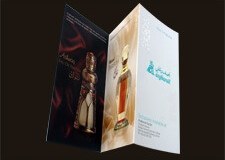 Flyer-2